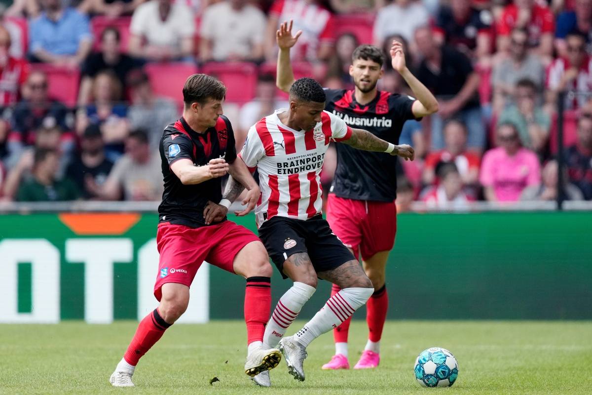 定最终的胜 定最终的胜