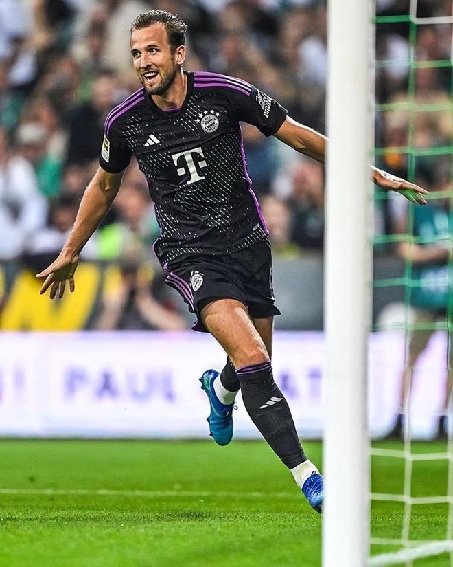 的可塑性 的可塑性